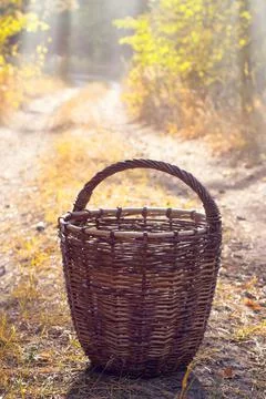 An empty wicker basket on a sandy path in the autumn forest. Selective focus Фото