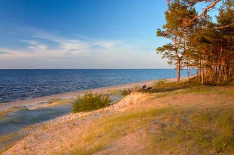 Empty wild beach in the rays of the passing sun.  Stock Photos