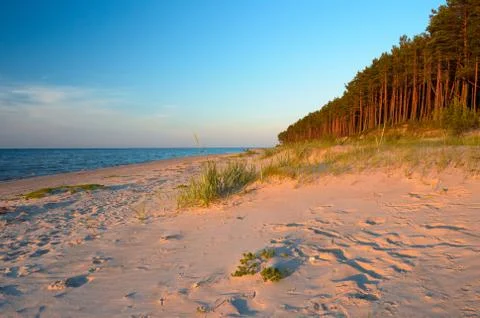 Empty wild beach with the rays of the passing sun.  Stock Photos