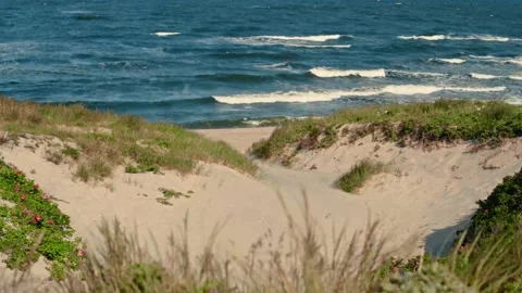 Empty wild beach with waves on blue water 스톡 동영상 202107551