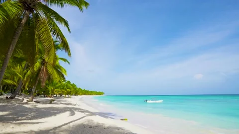 Empty wild Cuba beach background. Palm beach and sea.. Stock Footage 144483398