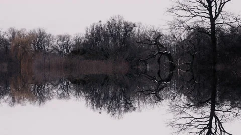 Empty wilderness, dark forest during winter. Lake reflecting trees. Stock Footage 148483083
