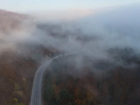 Empty winding forest road covered with morning fog and soft light Fotos Stock