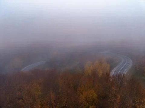 Empty winding forest road covered with morning fog and soft light Stock Photos