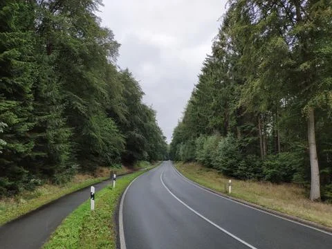 Empty winding road in the forest. Curve way of asphalt road. Foto stock