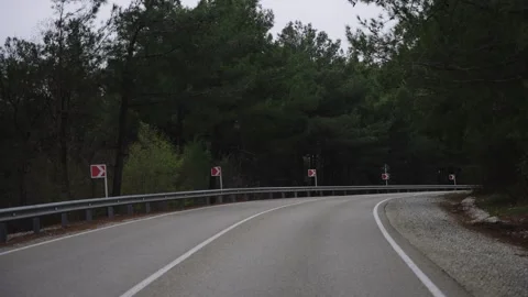 Empty Winding Road Through Dense Pine Forest At Twilight Stock Footage 310229515
