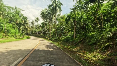 Empty winding road through tropical forest on Bohol island, Philippines, in Video stock 318900828