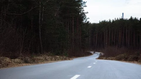 An empty winding scenic forest road with beautiful new asphalt on a summer da Stock Photos