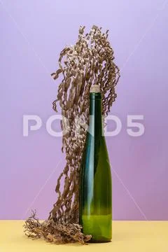 Empty wine bottle and a piece of sliced corrugated cardboard.. Stock Photos