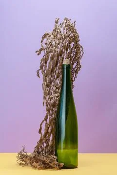 Empty wine bottle and a piece of sliced corrugated cardboard.. Stock Photos