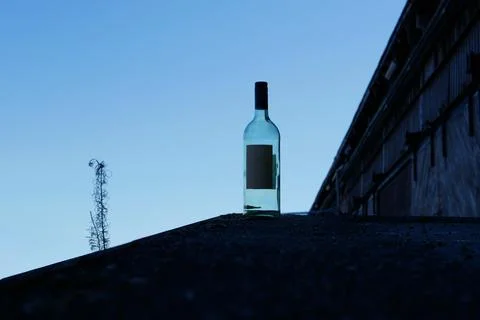 Empty wine bottle in front of an old woodshed Stock Photos
