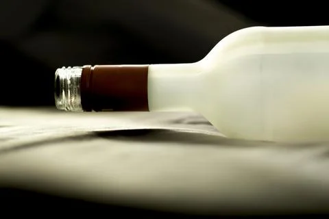 Empty wine bottle Stock Photos