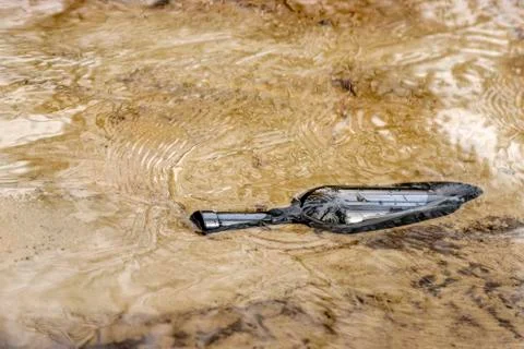 Empty wine bottle on the sandy bottom of the creek. Stock Photos