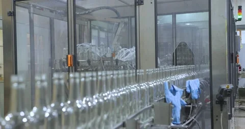 Empty Wine Bottles Stock Footage 205483402