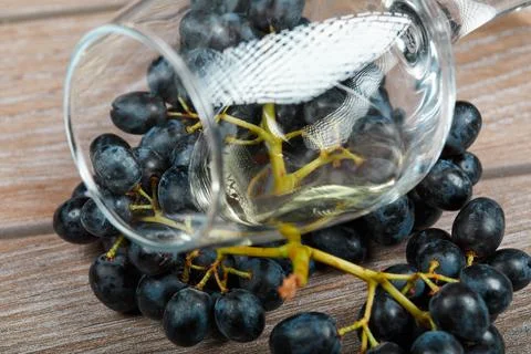 An empty wine glass on the bunch of red grapes Stock Photos