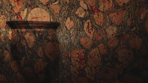 Empty wine glass shadow stopper background hd footage Stock Footage 102401220