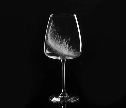 Empty wine glass with a white feather on a black background Stock Photos