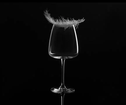 Empty wine glass with a white feather on a black background Stock Photos