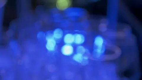 Empty wine glasses. Stock Footage 115194269