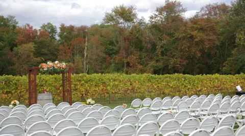Empty Wine Vinyard Ceremony Stock Footage 66351313