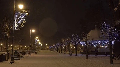 Empty winter park Stock Footage 122754661