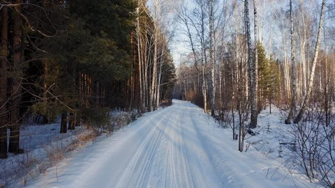 Empty winter road between trees at sunset Stock Footage 124211665