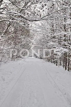 Empty winter road Stock Photos