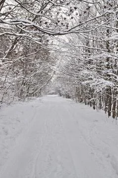 Empty winter road Stock Photos
