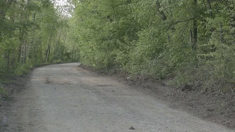 Empty Wood Dusty Road Stock Footage 81512859