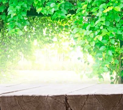 Empty wood plank table top with green nature leaves background and blurred li Stock Photos