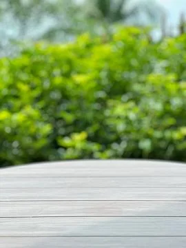 Empty wood plank table top with blur green nature background bokeh light,Mo.. Stock Photos
