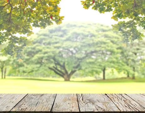 Empty wood plank table top with green nature leaves background and blurred tr Stock Photos