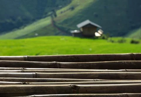 Empty wood table and blur background of rice fields on a hill Stock Photos