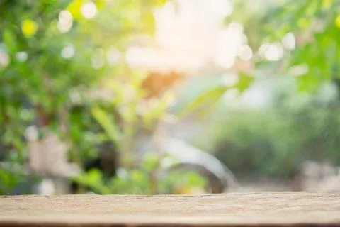 Empty wood table top and blur nature background with copy space for display.. Stock Photos