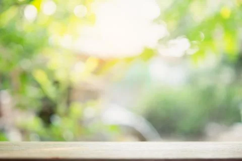 Empty wood table top and blur nature background with copy space for display.. Stock Photos