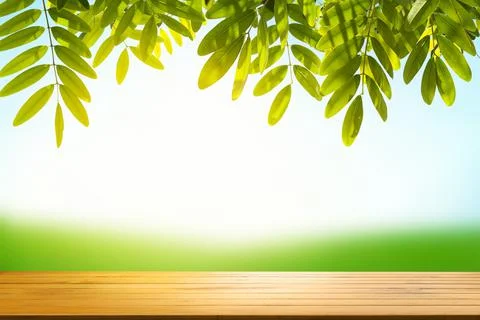 Empty wood table top on blur abstract green from garden house on background. Stock Illustration