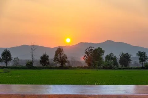Empty wood table top on Landscape of Green rice field  with mountain Stock Photos