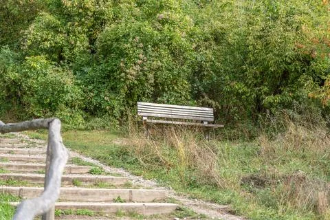 Empty Wooden Bench Beside Rustic Steps in Dense Green Vegetation Stock Photos