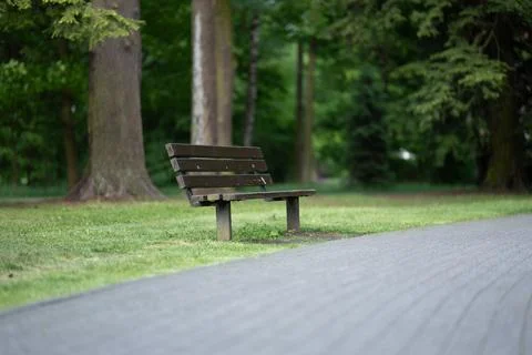 Empty wooden bench in a park next to a cobbled path surrounded by green trees Foto stock