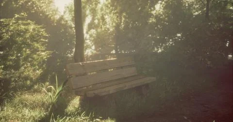 Empty wooden bench in a quiet forest surrounded by sunlight and greenery Stock Illustration