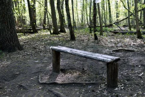 Empty wooden bench in the spring forest Stock Photos