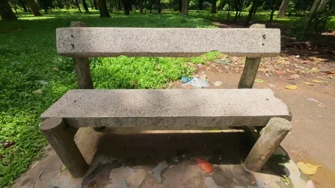 Empty Wooden Bench in Tranquil Park Surrounded by Trees Stock Footage 314194327