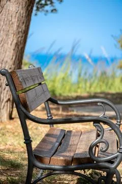 Empty wooden bench by tree with blue sea background Stock Photos