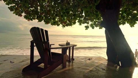 Empty wooden bench under large tree near water at sunset Stock Photos