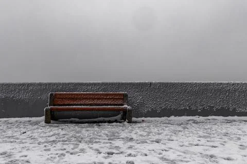 An empty wooden bench on a walking path, empty of people, placed against a .. Stock Photos
