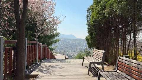 Empty Wooden Benches on Viewpoint Deck Overlooking Dense Seoul Cityscape Stock Footage 337473311