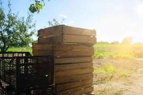 Empty wooden box. Pine box for fresh vegetables on a rural background Фото