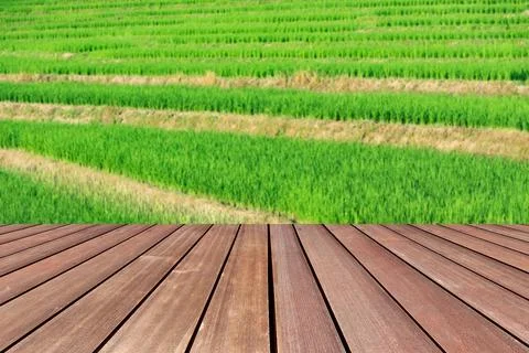 The empty wooden brown table top with blur background of rice fields.  Stock Photos