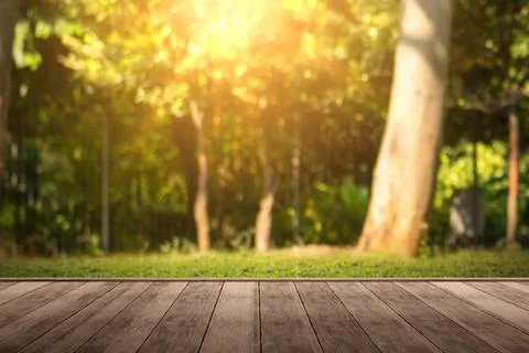 Empty wooden deck overlooking a blurred green garden with bright golden sun.. 스톡 사진