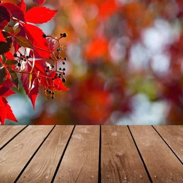 Empty wooden deck table and red ivy. ready for product montage display. Stock Photos